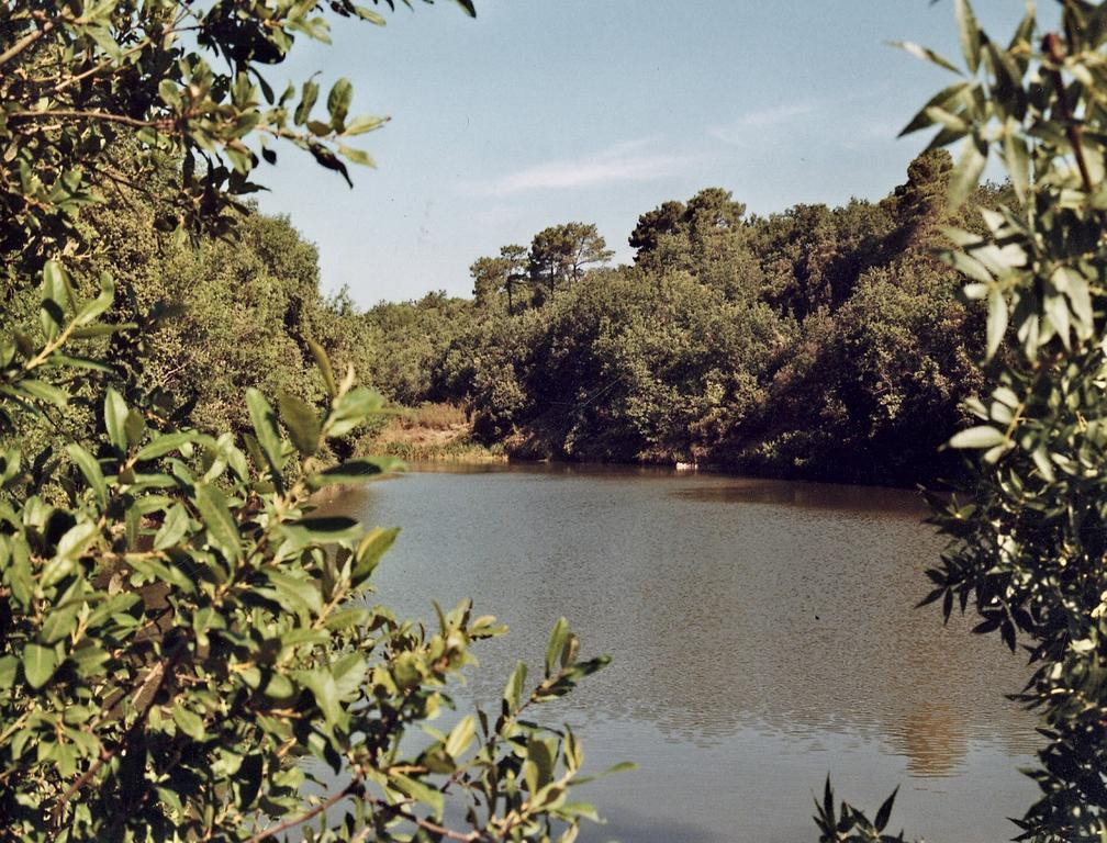 Abbaye De Capservy Villardonnel Luaran gambar